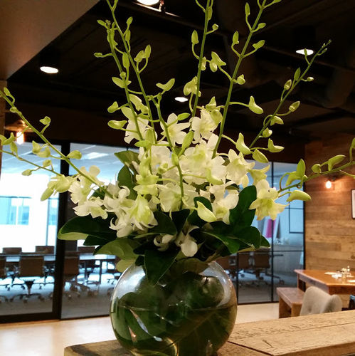 White Orchid Reception Arrangement