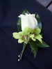 Rose and Orchid Buttonhole