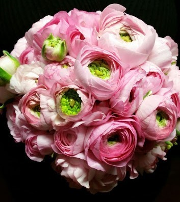 Bridesmaid Bouquet with Pink Ranunculus Flowers