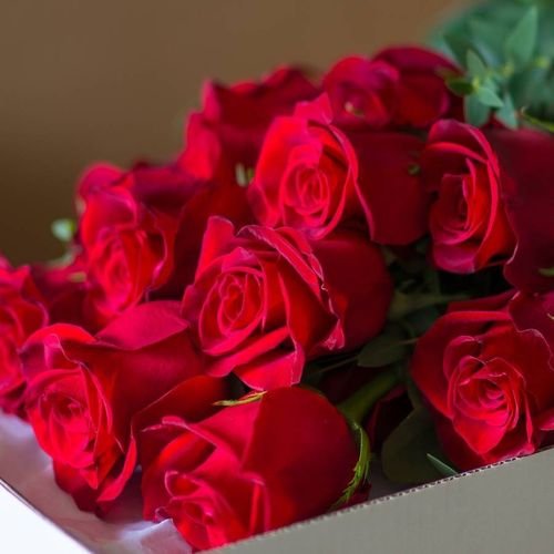 Dozen Roses in a Long Box