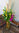 Orange Tigers, Purple Orchids and Spear Grass Corporate Reception Vase Arrangement