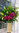 Gum, Chrysanthemums and Tigers Corporate Reception Vase Arrangement