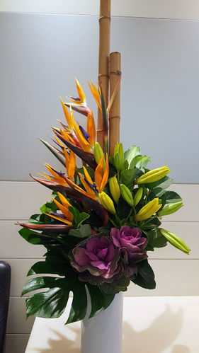 Bamboo, Birds of Paradise and Kale Corporate Reception Arrangement