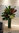 Gymea Lily, Orange Lily and White Orchids Concierge Flowers
