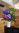 Foyer Flower Arrangement 1